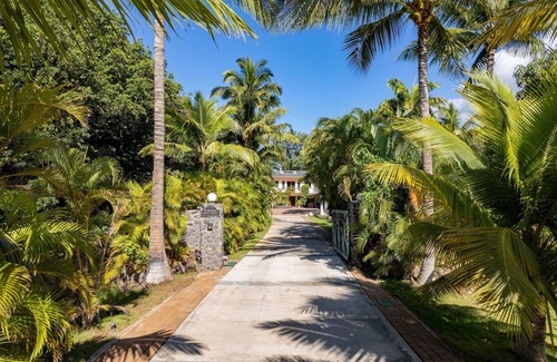 Kihei House | Aloha Aku CoCoPalm Suite – Experience Tropical Bliss