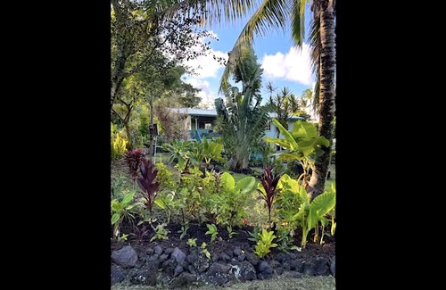 Kehena Apartment | Aloha Bungalow, Garden Level 1 Bedroom, walking distance to Kehena Beach.