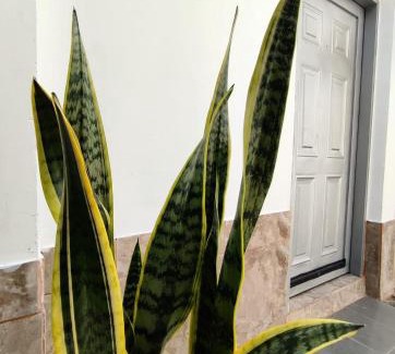 Capitanejo Apartment | Alojamiento Betina