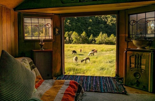 Upper Takaka House | Alpacas Off Grid - House Truck (Spacious/Boutique)