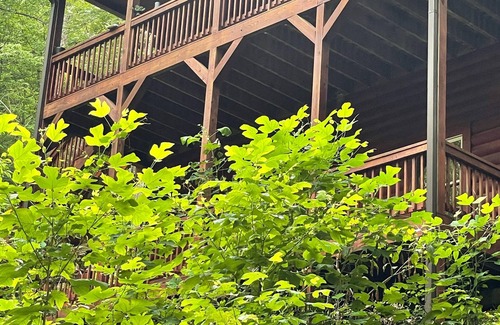 Helen Cabin | Alpenhaus Cabins Real Log Home in Helen Ga Mountains with hot tub and balconies