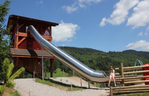 Le Thillot Ski Chalet | Alpine Chalet near Cafés