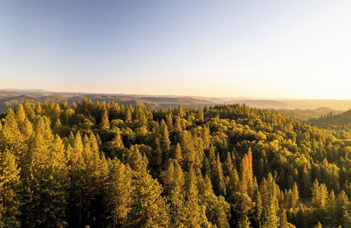 Iowa Hill House | Alpine Escapes. Welcome to our peaceful mountain retreat!