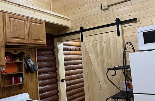 Lake City Cabin | Alpine Hideout - Great Campground Setting