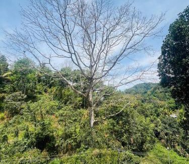 Devikolam Resort | Alqasr munnar