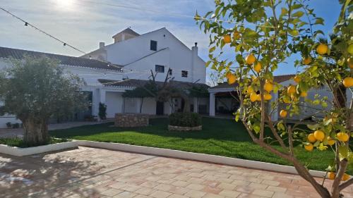 Tajarja House | Alquería de Tajarja
