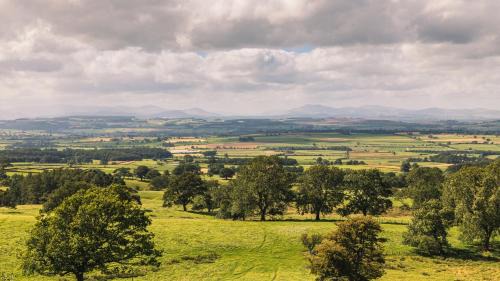 Alston Hotel | Alston House Hotel