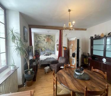 Arrens-Marsous Apartment | Altitude 875 Le Studio