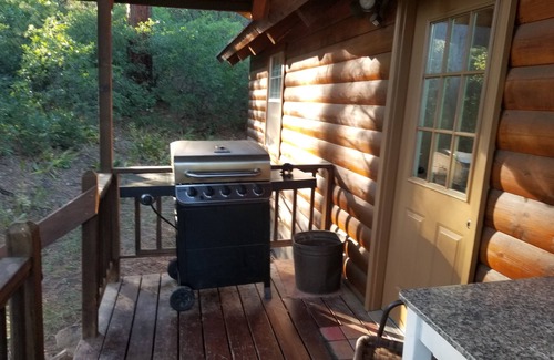 San Juan River Village Cabin | Altitude Adjustment cabin near Wolf Creek - pet friendly