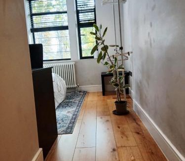 Turnham Green House | Amara & Nomad 1
