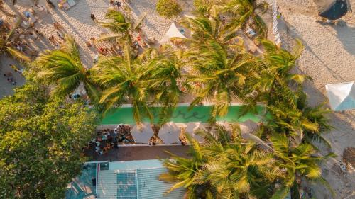 Tierra Bomba Island Other | Amare Beach