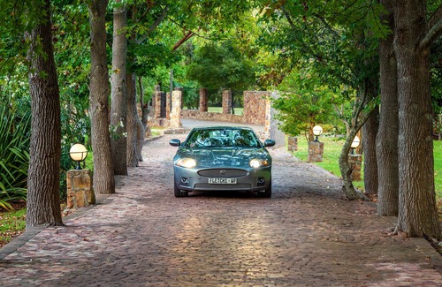 Constantia Villa | Amazing Ibis luxury villa