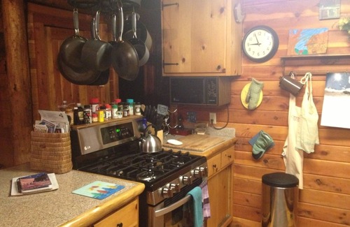 Fairplay Cabin | Amazing Mtn Log Cabin, Hot Tub, Secluded, near Breckenridge! Serene Awesomeness