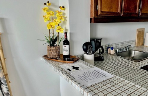 Hilo Condo | Amazing Ocean & Park Views - Pool & AC