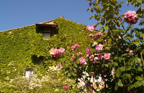 Barberino Val d'Elsa Apartment | Amazing views in peaceful country setting close to many attractions