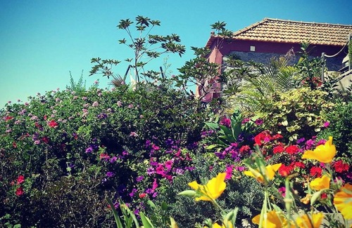 Estreito da Calheta House | Amazing views, large terrace and garden.