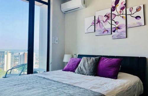 Rohrmoser Apartment | Amazing views SJO, Cozy, Equipped. 24/7 Concierge