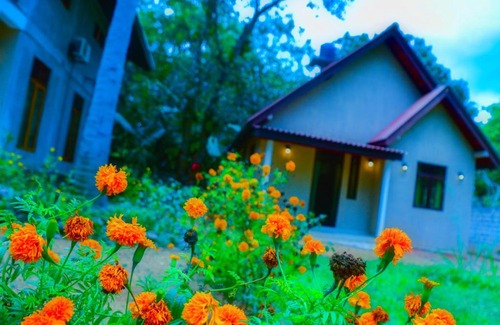 Nuwaragam Palatha East House | Ambawatta Homestay