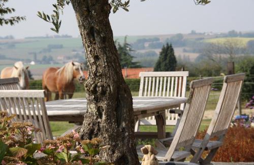 Maarkedal Bed & Breakfast | Amberhoeve