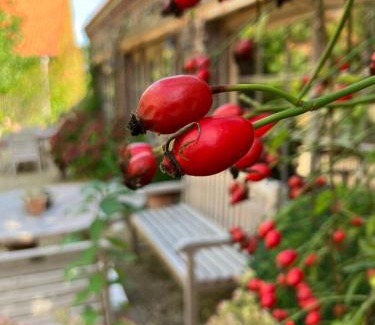 Maarkedal Bed & Breakfast | Amberhoeve