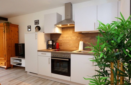 Todtmoos Apartment | Ameisenpfad Todtmoos - Coziness and panorama - My SWH