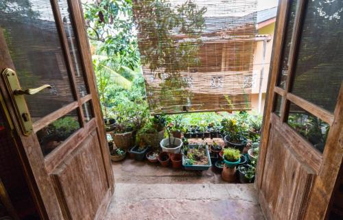 Tennekumbura House | Amma's Homestay