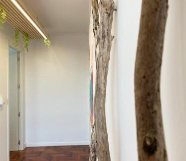 O Perpetuo Socorro Apartment | Amplio Piso Plaza América