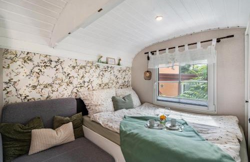 Oelsnitz House | Amselnest