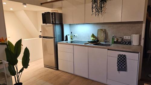 Krommenie Apartment | Amsterdam ZaanseSchans House