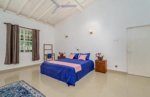 Wadduwa Hotel | Amy's Haven