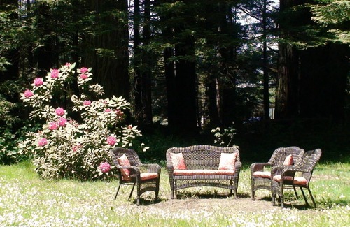 Crescent City Cottage | Amy's Redwood Cottage