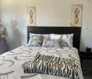 Moses Kotane Apartment | Amza guest room