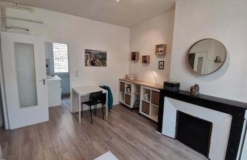 Millau Apartment | Anémone - studio tout confort en centre ville