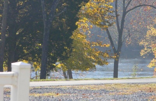 Luray Cabin | An absolute Treat-Perfect for couples/families - Walking Dist to Shen River!
