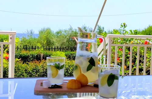 Gargaliani Villa | An apartment between the olive trees and the sea