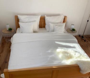 Homburg Apartment | An der Uniklinik, Apartment mit eigener Küche und renoviertem Badezimmer, Zentrale Lage