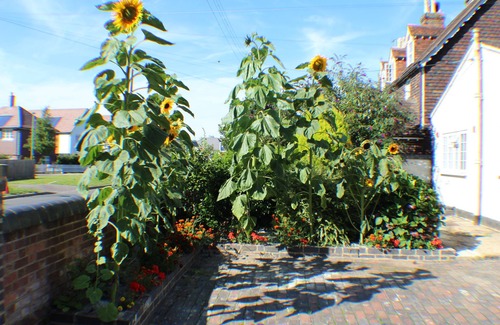 Marden Cottage | An ideal holiday cottage for a family who are looking for a country retreat