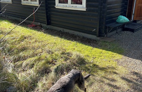 Houstrup Cottage | An oasis by forest and beach