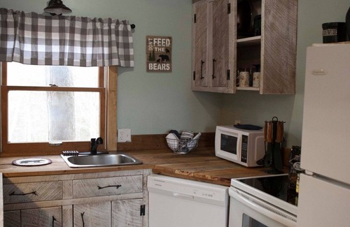 Gatlinburg - Pigeon Forge Cabin | An Original Smoky Mountain Cabin! This is a ONE OF A KIND! THE NEST!