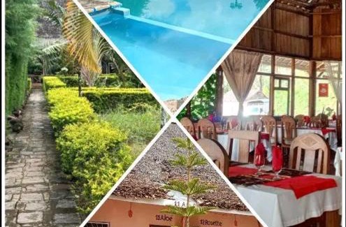 Andasibe Hotel | Analamazaotra hotel