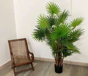 Sainte-Clotilde Apartment | Ananas appart
