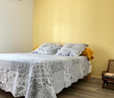 Sainte-Clotilde Apartment | Ananas appart