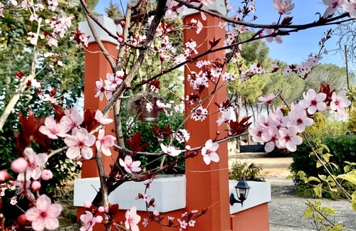 Monopoli Villa | ancient charm wonderful period villa surrounded by the green hills of M