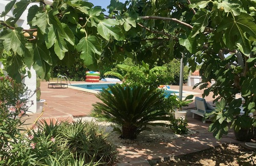 Alhaurin de la Torre Villa | Andalusian Villa in an avocado and lemon grove