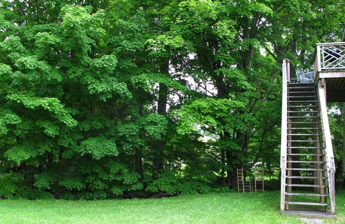 Andes Apartment | ANDES. CATSKILLS. WEDDING. LONGTERM. STREAMSIDE. VERY CLEAN