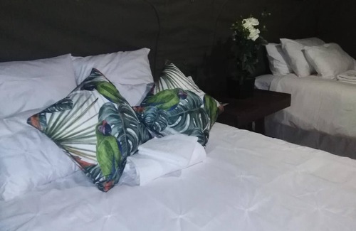Thorny Bush Game Reserve Other | Andova Tented Camp