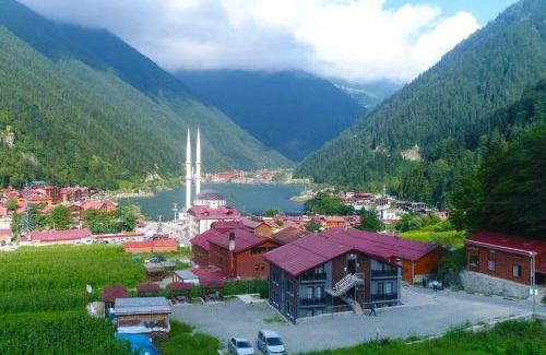 Uzungol Apartment | Anemo Suite