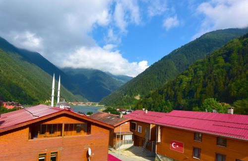 Uzungol Apartment | Anemo Suite