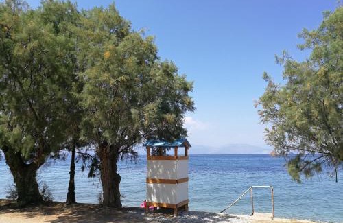 Diakofto Apartment | Angel's Place by the Sea