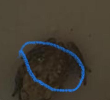 Mamatoco House | Angie